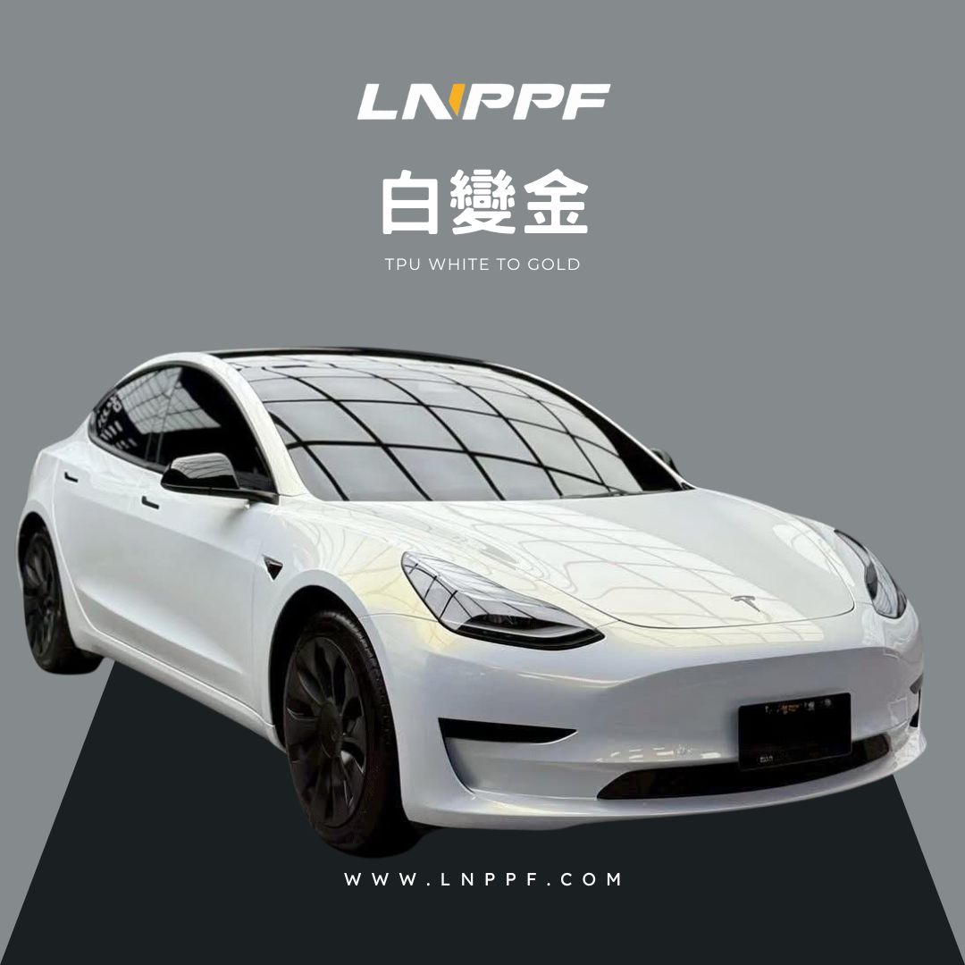 白變金.jpg